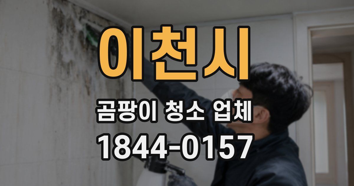 이천시 곰팡이 청소 업체