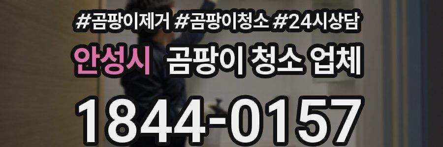 안성시 곰팡이 청소 업체