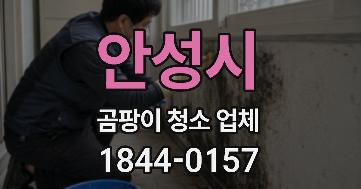 안성시 곰팡이 청소 업체