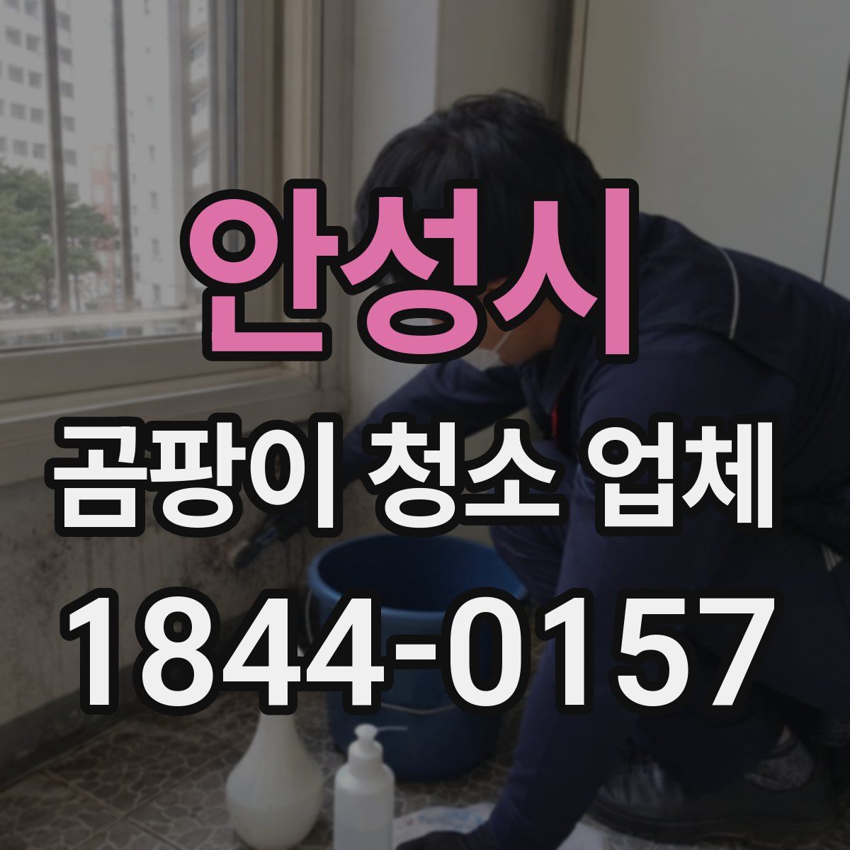 안성시 곰팡이 청소 업체