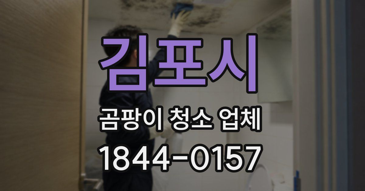 김포시 곰팡이 청소 업체