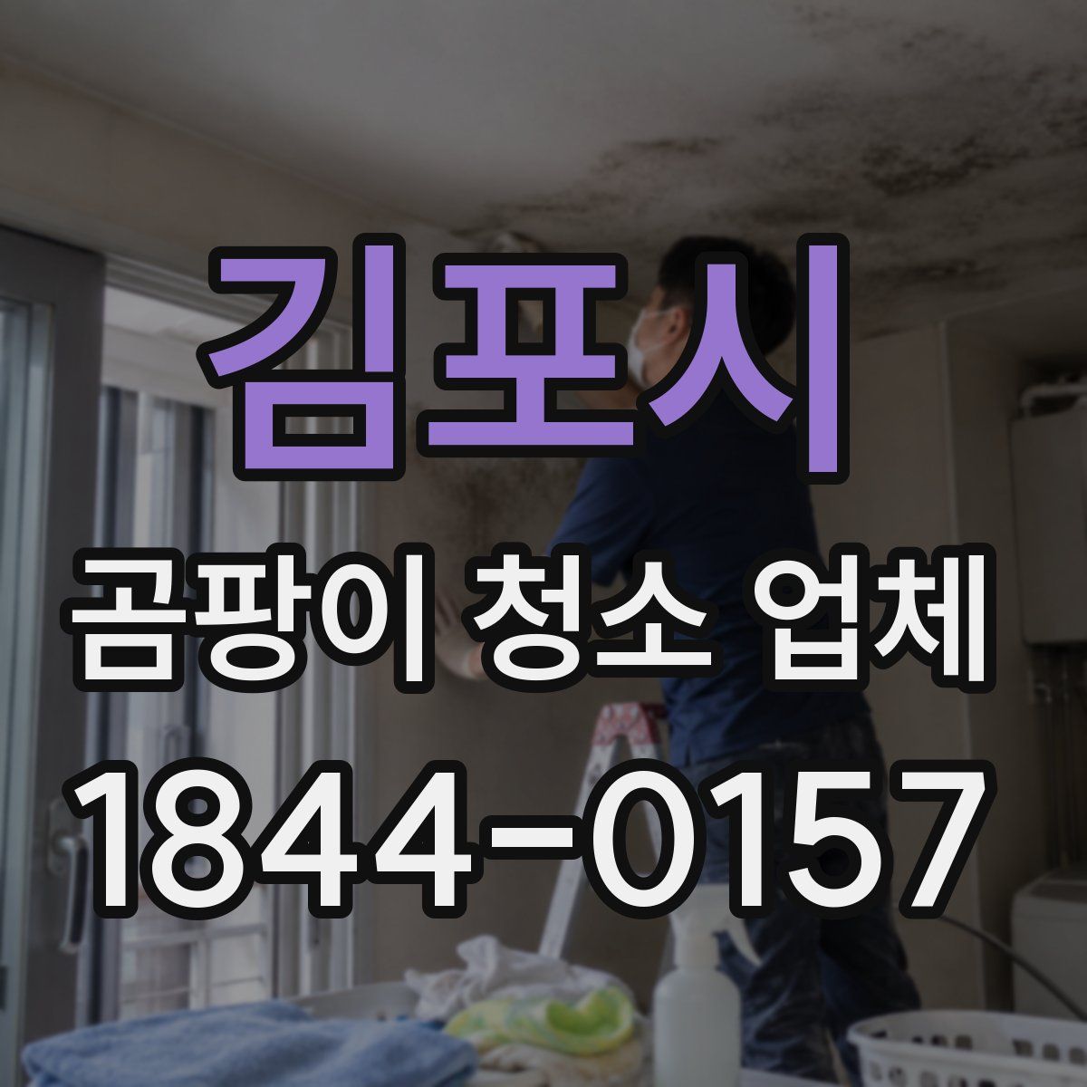 김포시 곰팡이 청소 업체
