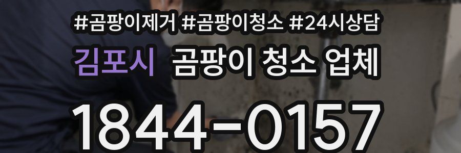 김포시 곰팡이 청소 업체