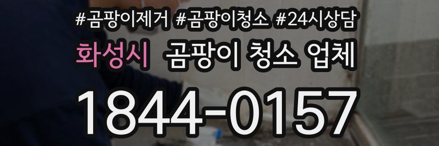 화성시 곰팡이 청소 업체