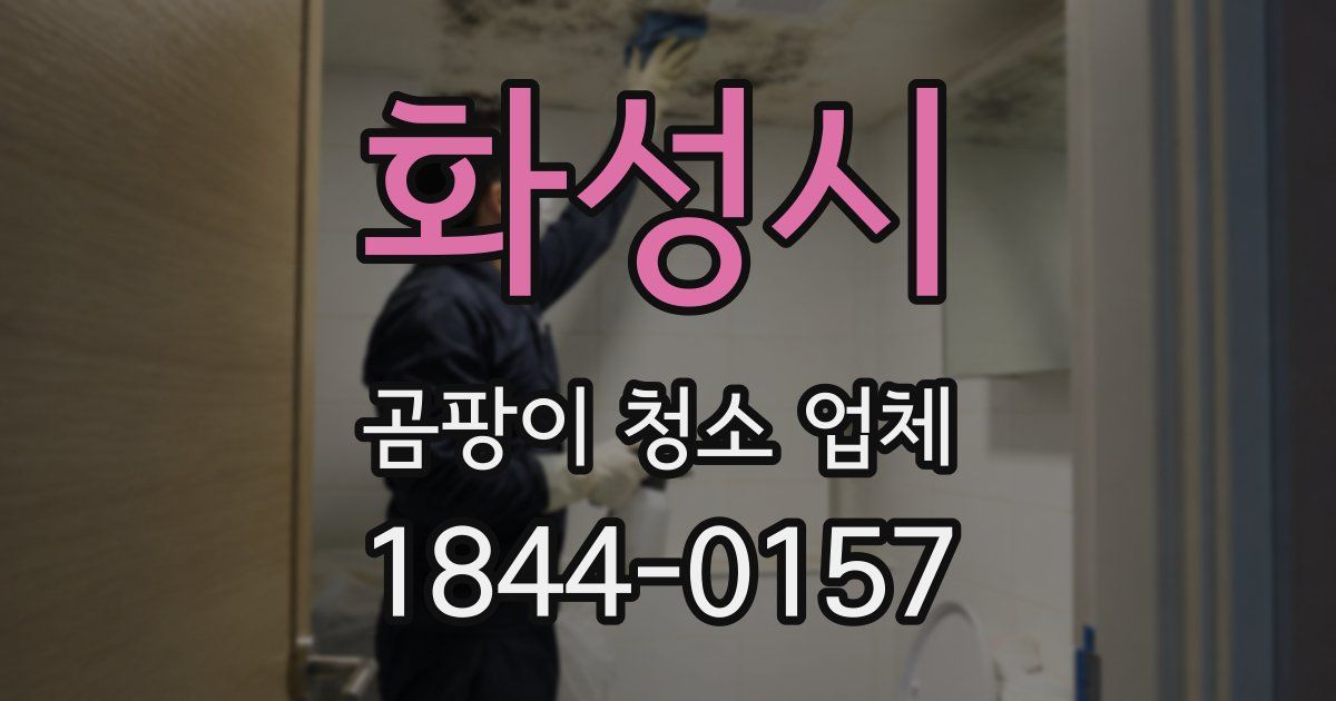 화성시 곰팡이 청소 업체