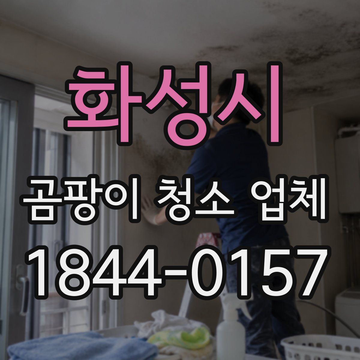 화성시 곰팡이 청소 업체