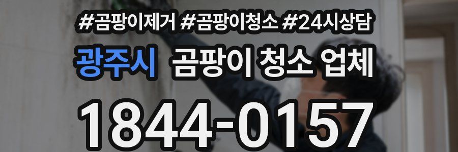광주시 곰팡이 청소 업체
