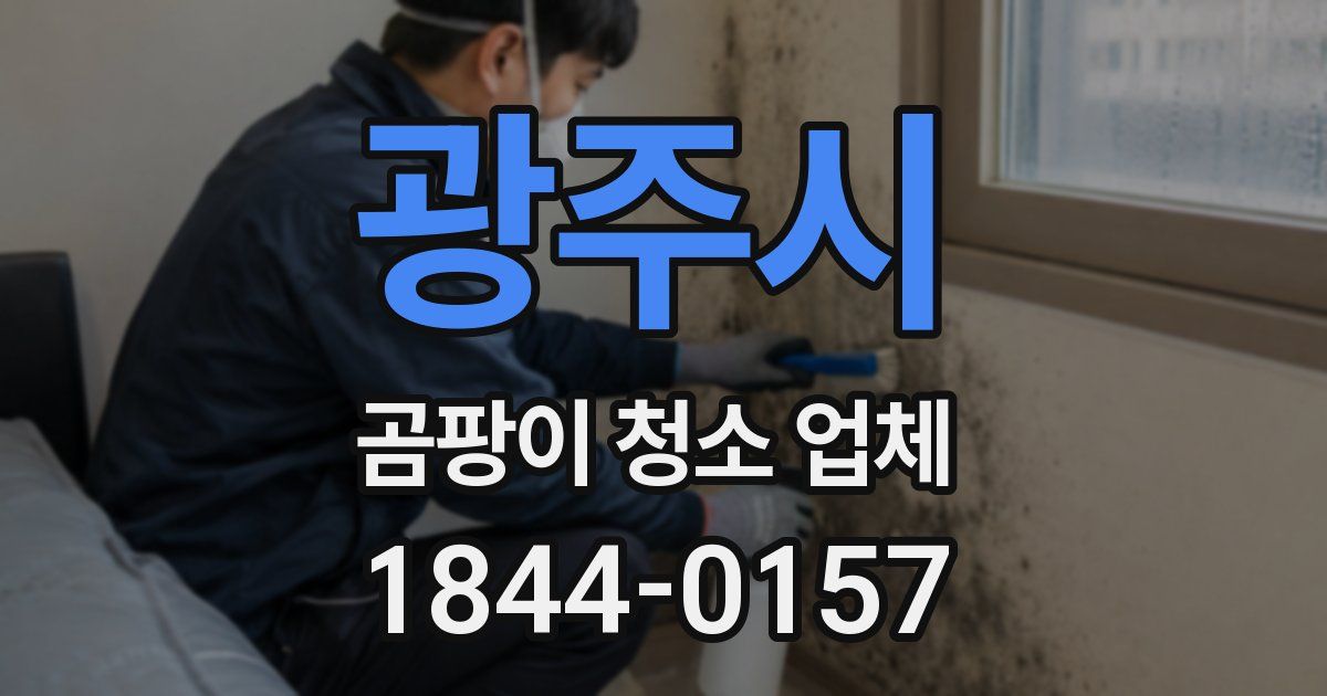 광주시 곰팡이 청소 업체