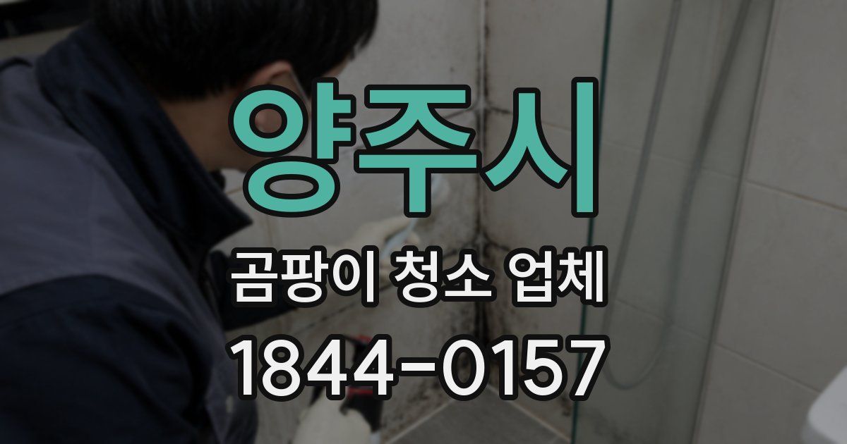 양주시 곰팡이 청소 업체