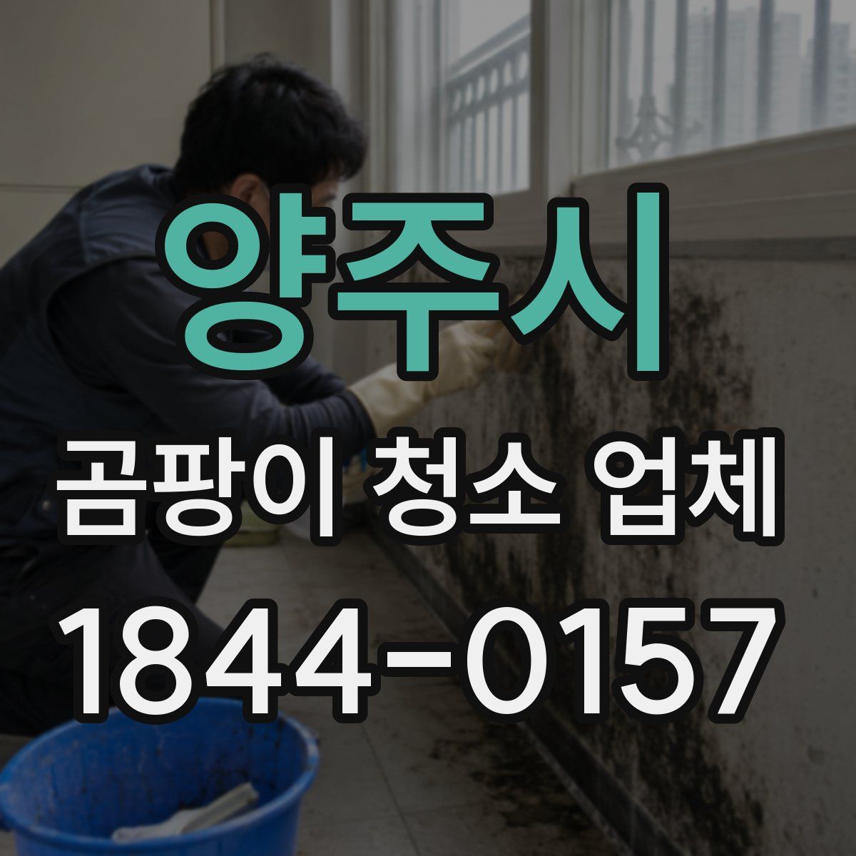 양주시 곰팡이 청소 업체