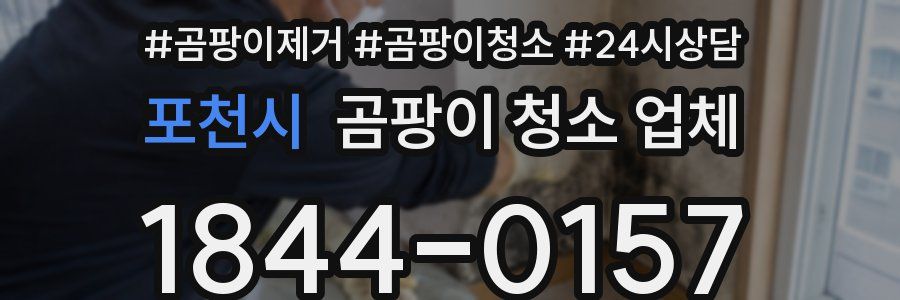 포천시 곰팡이 청소 업체
