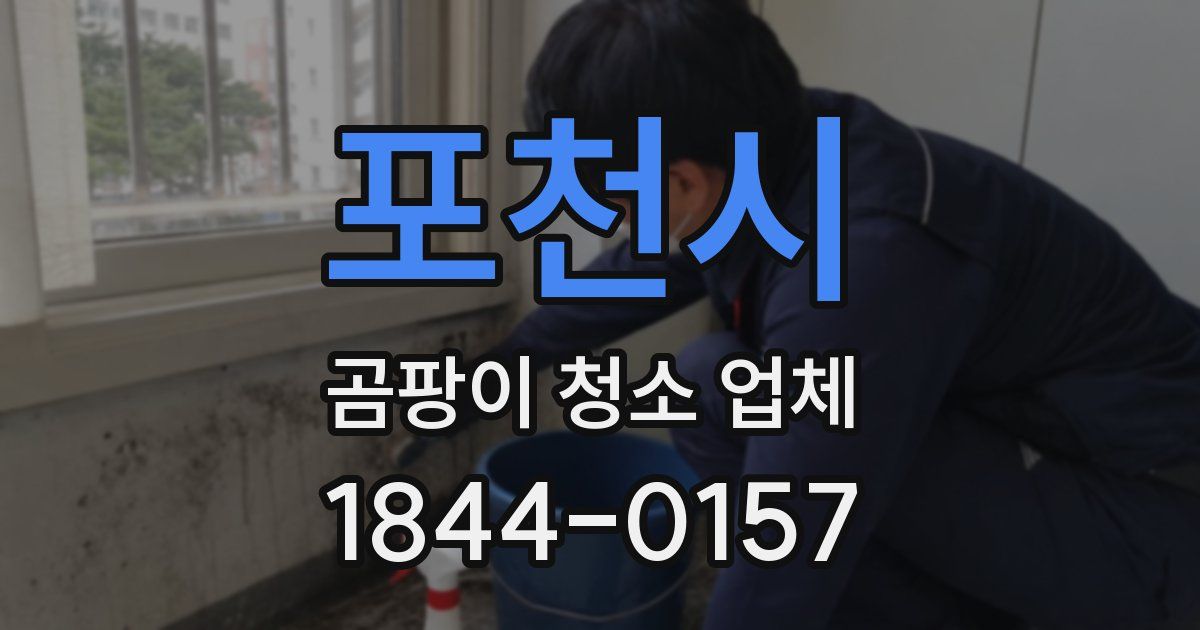 포천시 곰팡이 청소 업체