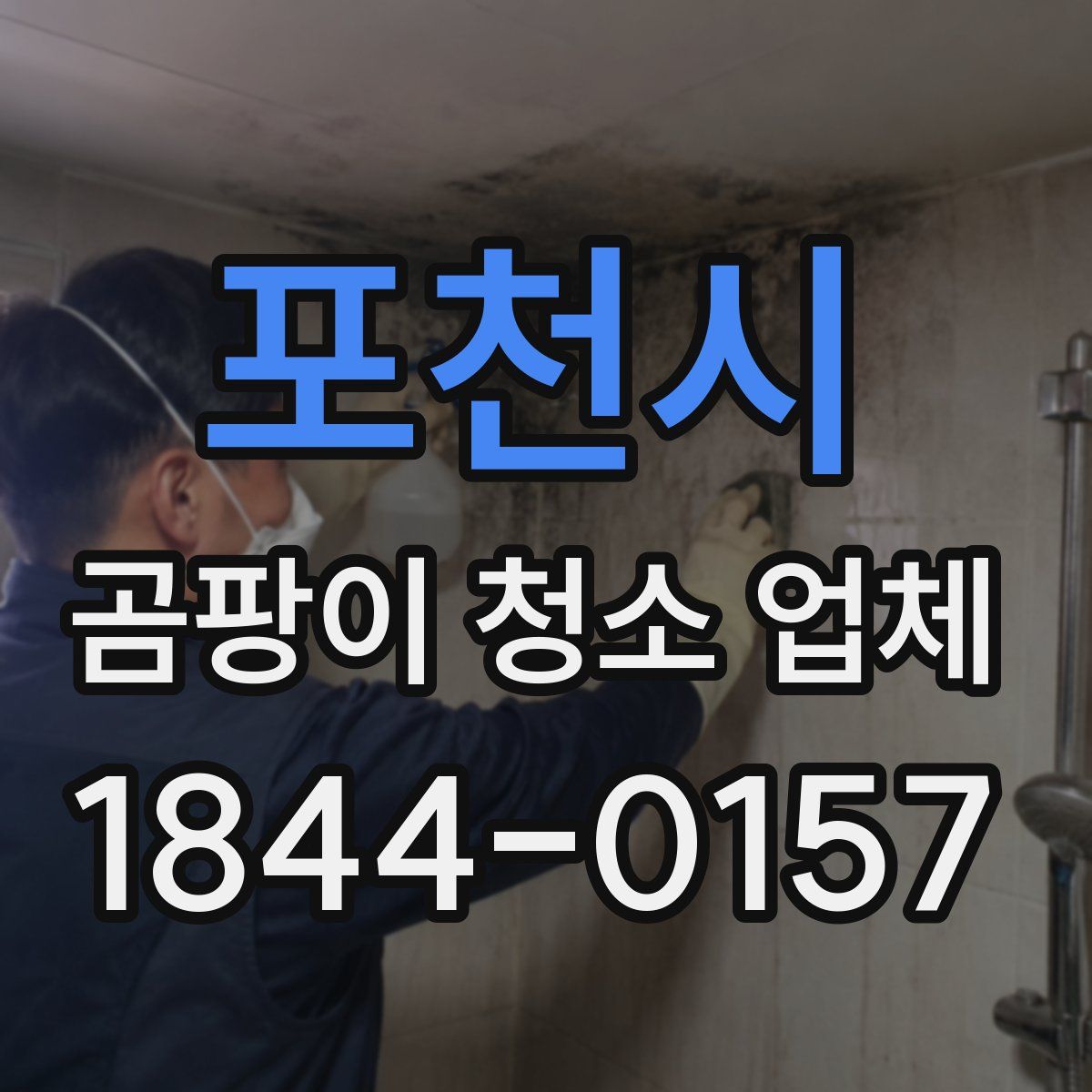 포천시 곰팡이 청소 업체