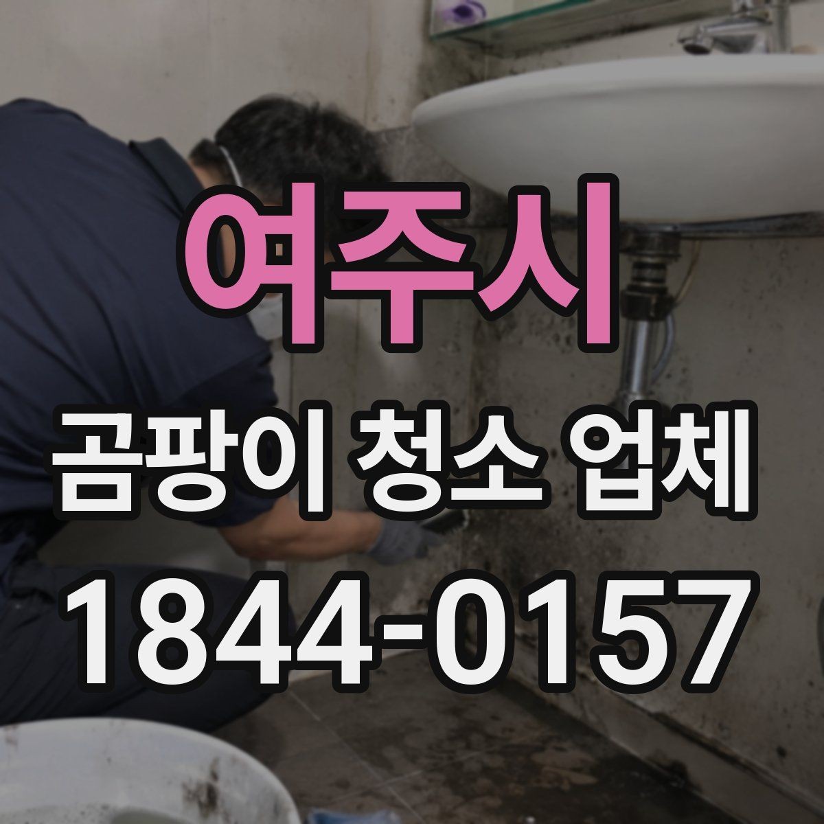 여주시 곰팡이 청소 업체 아이와 반려동물 있는 집의 안전 기준