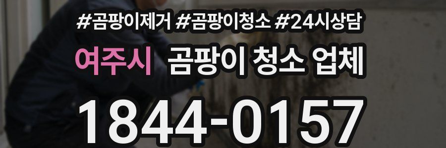 여주시 곰팡이 청소 업체