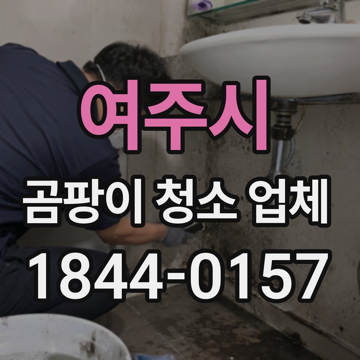 여주시 곰팡이 청소 업체