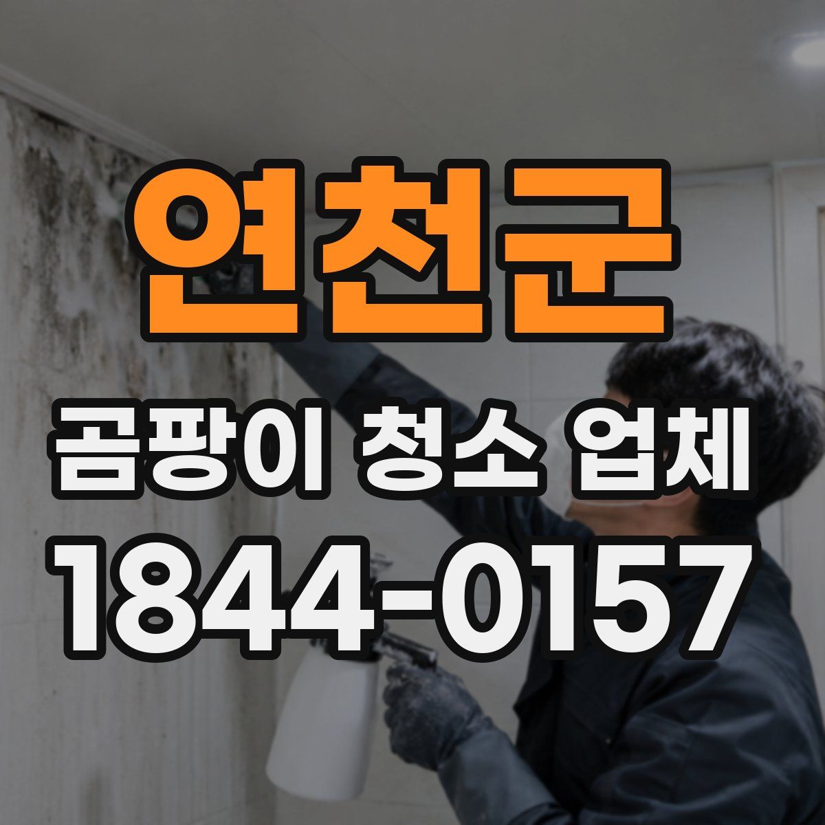 연천군 곰팡이 청소 업체
