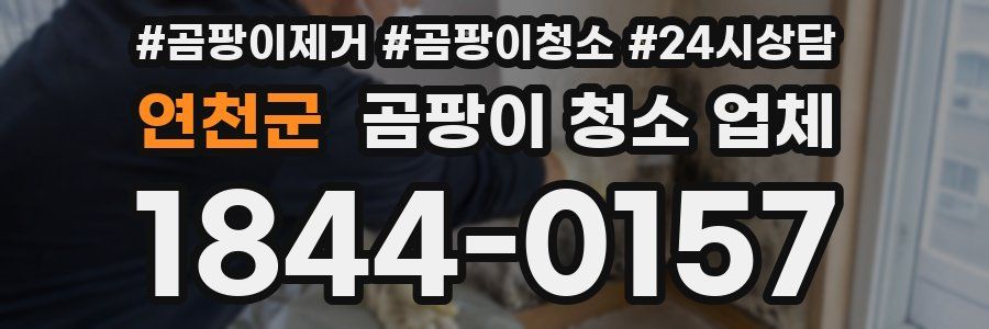 연천군 곰팡이 청소 업체