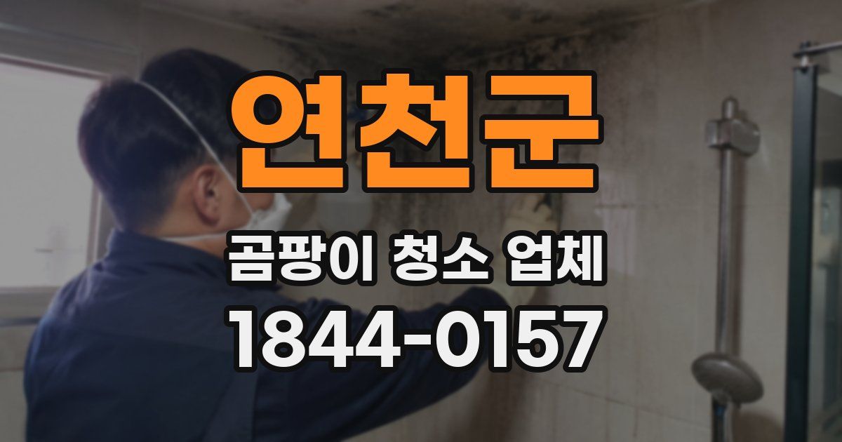 연천군 곰팡이 청소 업체