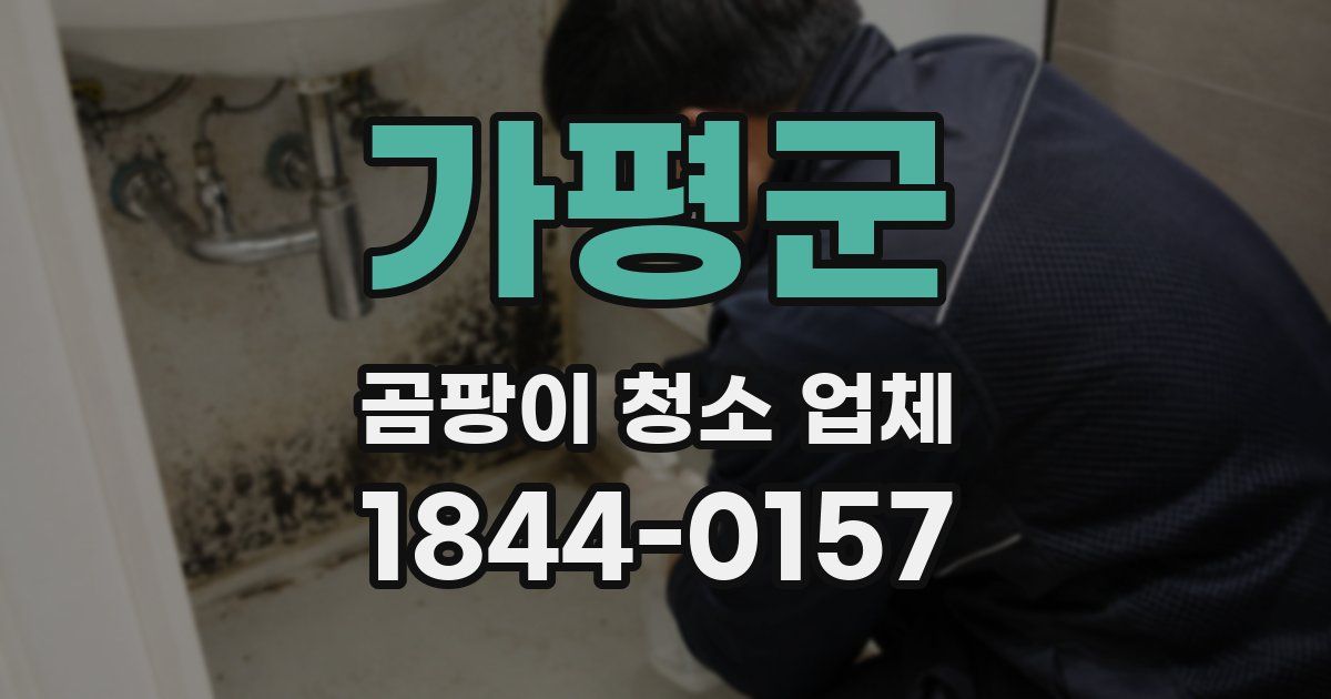 가평군 곰팡이 청소 업체