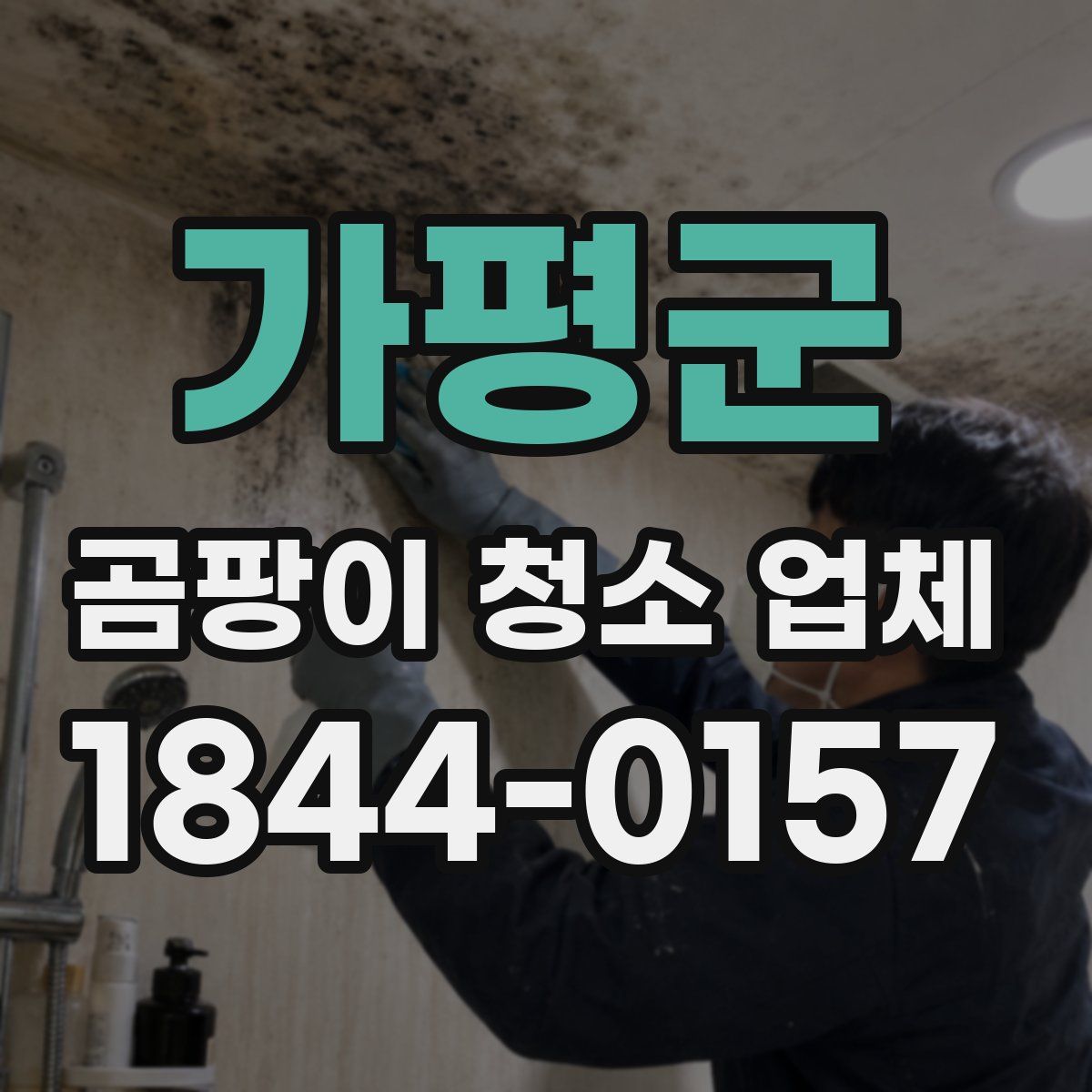 가평군 곰팡이 청소 업체