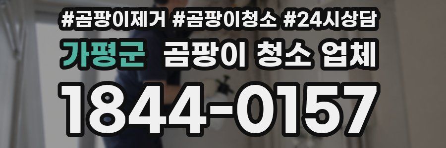 가평군 곰팡이 청소 업체