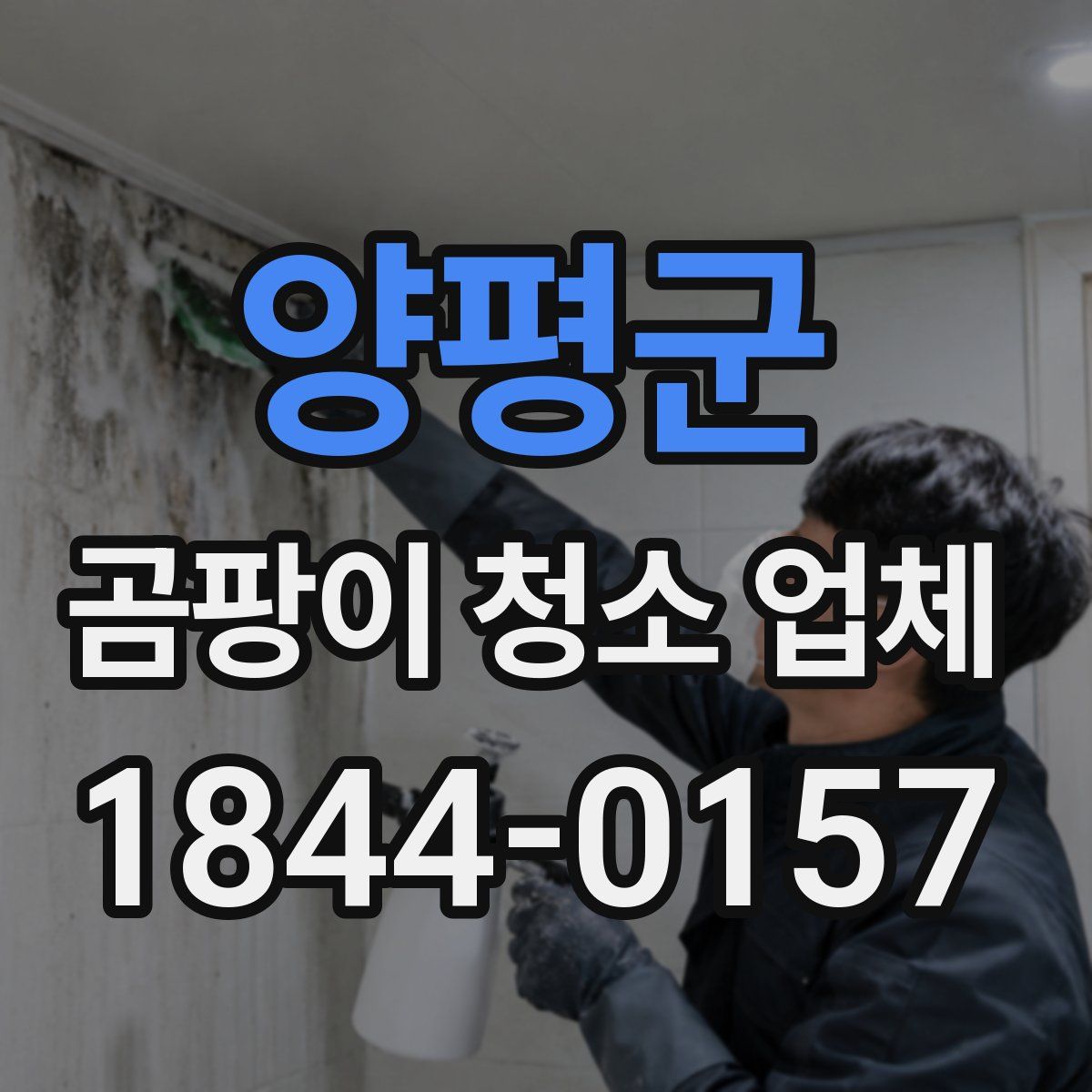 양평군 곰팡이 청소 업체