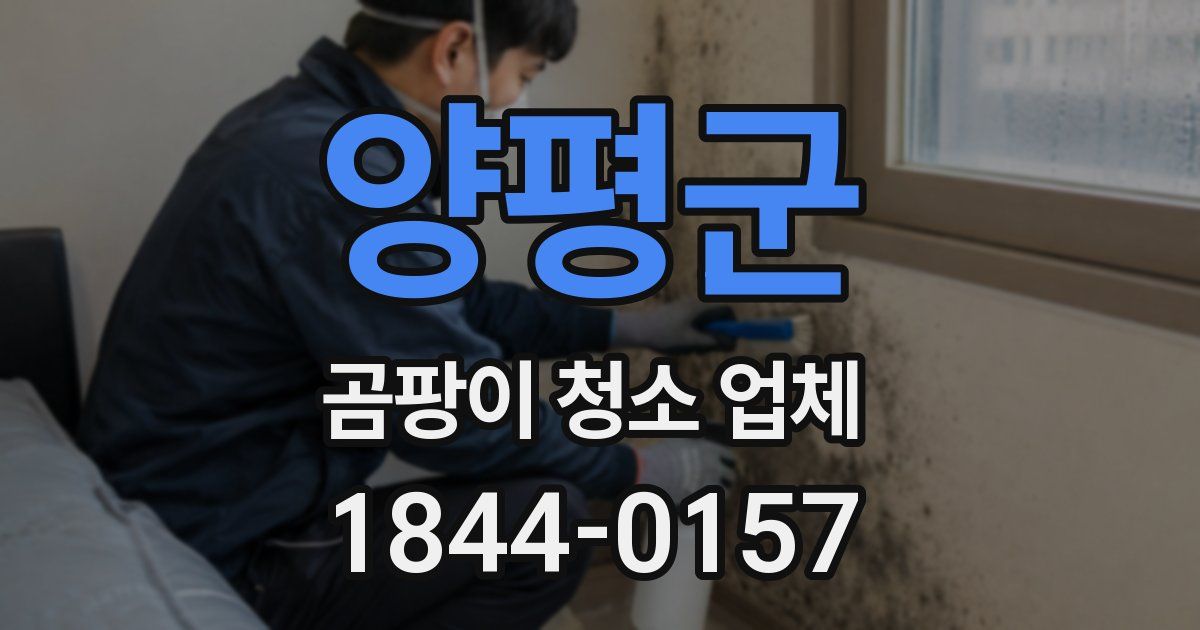 양평군 곰팡이 청소 업체