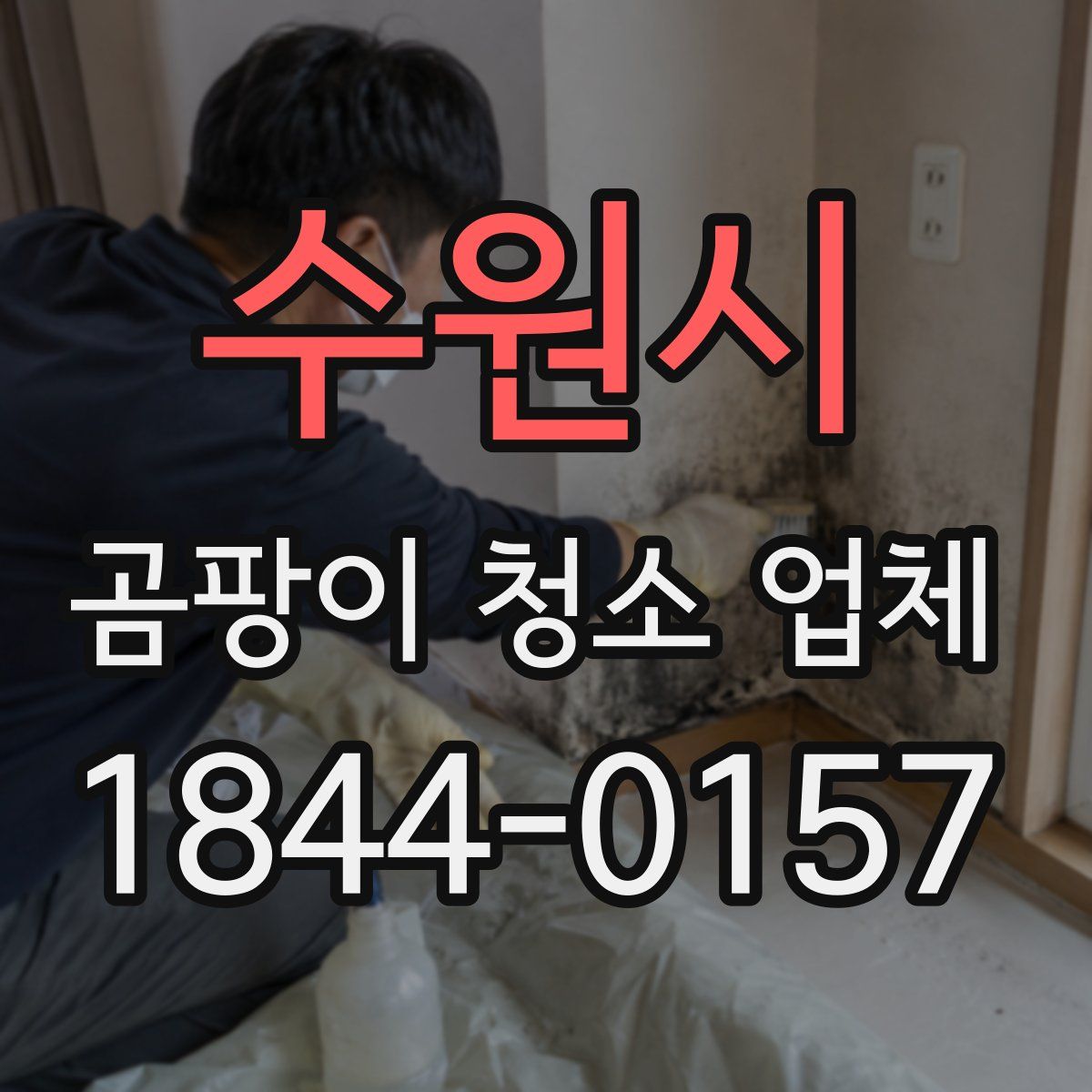 수원시 곰팡이 청소 업체