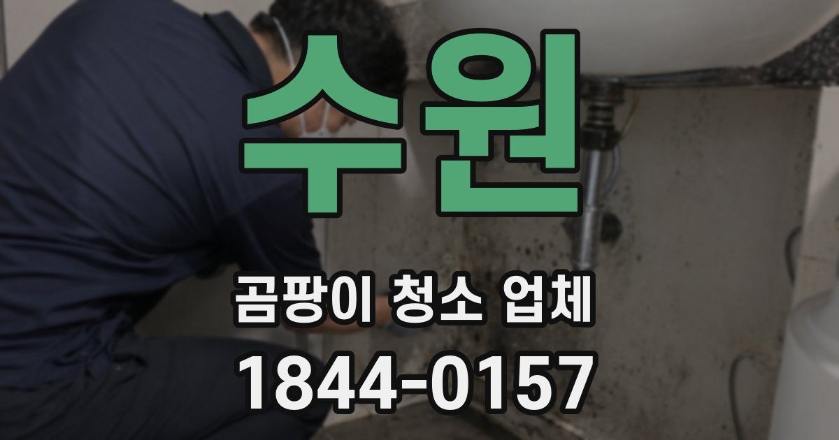 수원 곰팡이 청소 업체