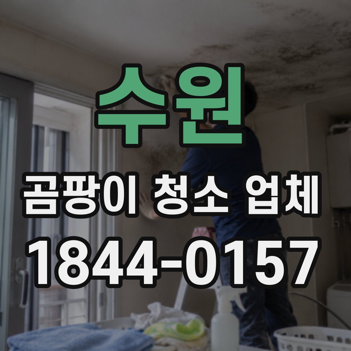 수원 곰팡이 청소 업체