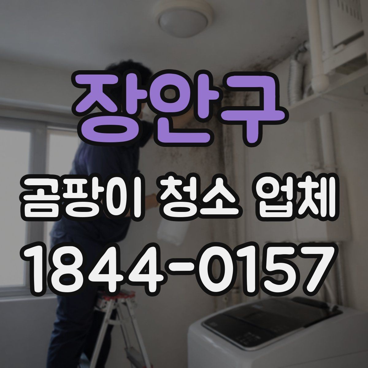 장안구 곰팡이 청소 업체 장판 아래 곰팡이 점검이 필요한 이유