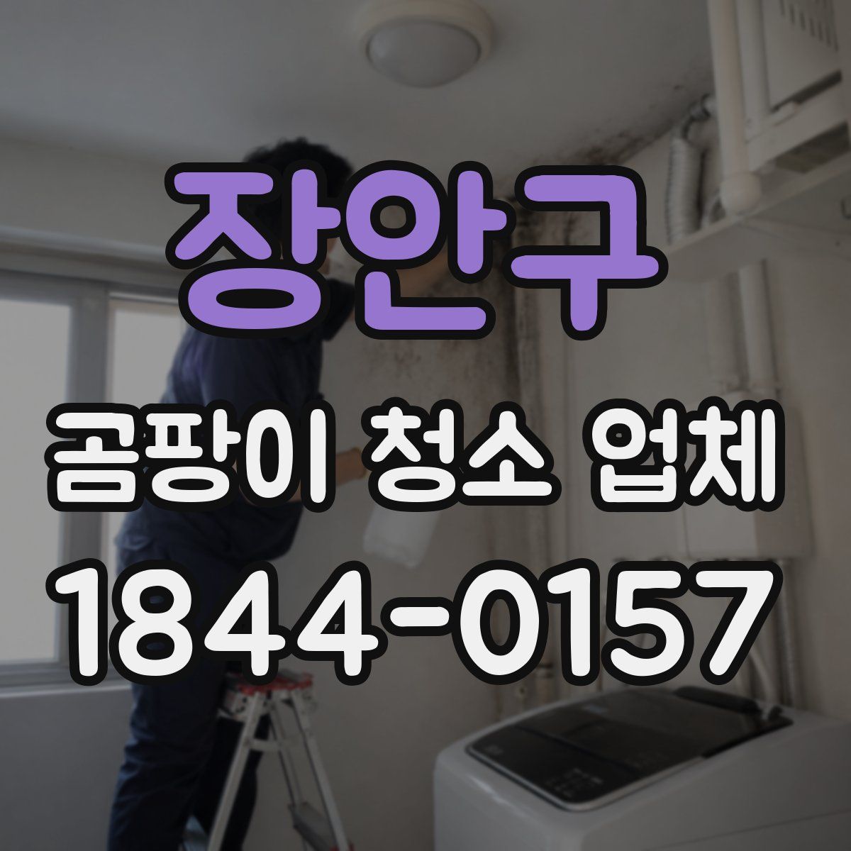 장안구 곰팡이 청소 업체