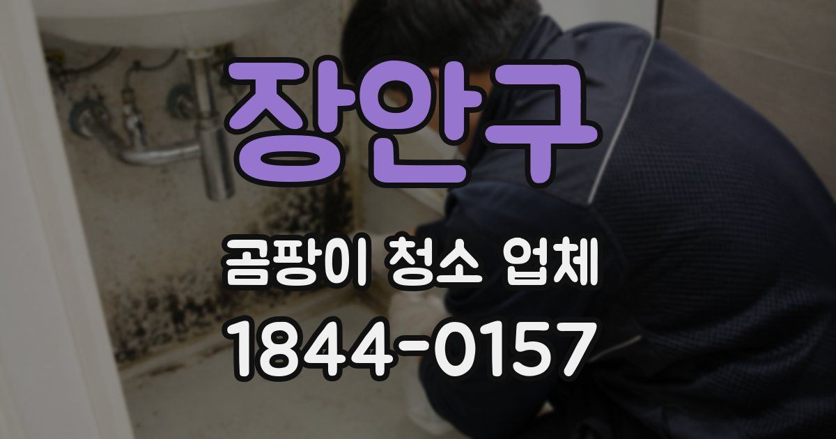 장안구 곰팡이 청소 업체