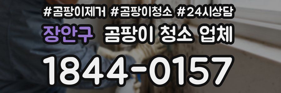 장안구 곰팡이 청소 업체