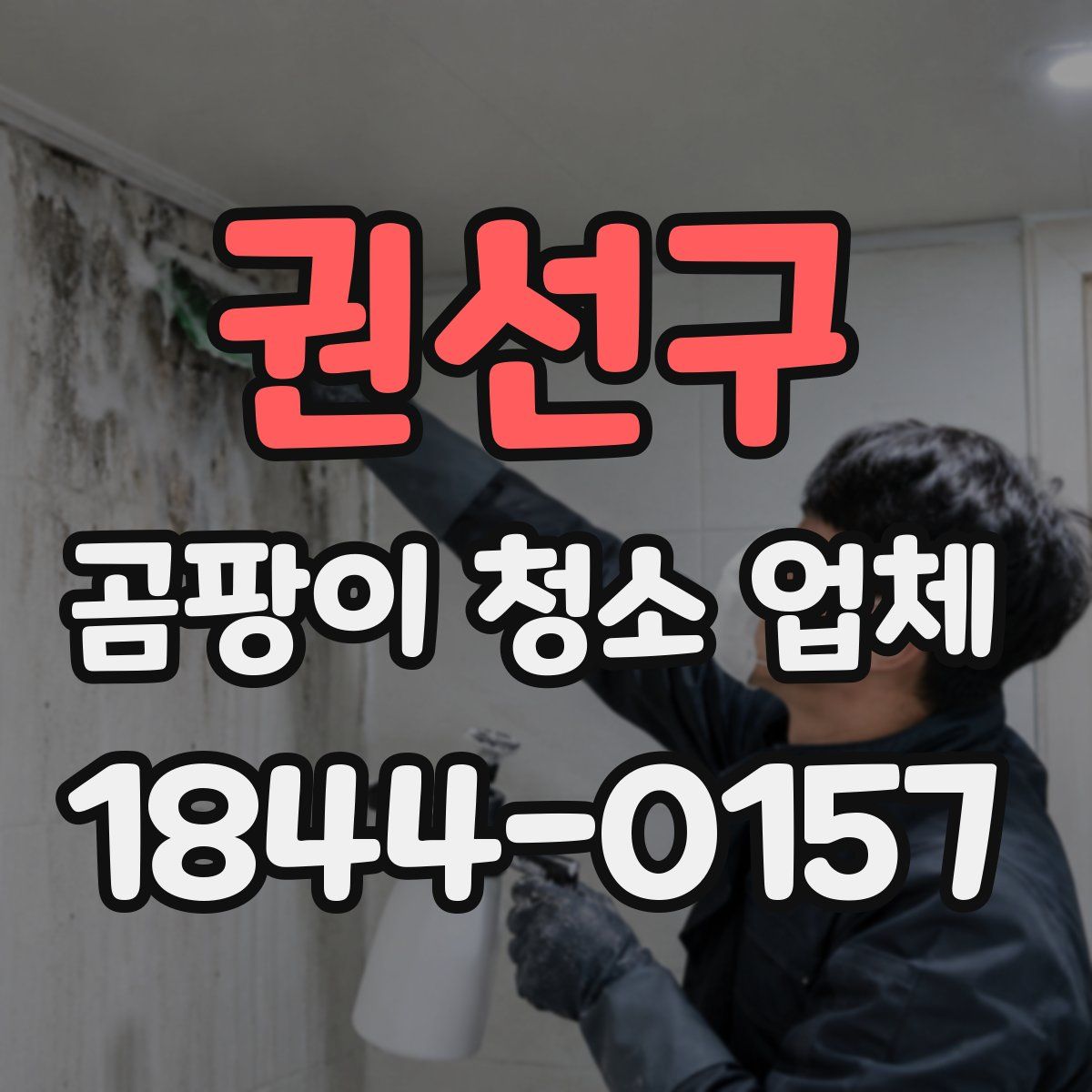 권선구 곰팡이 청소 업체
