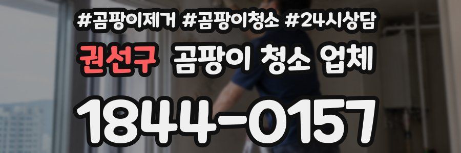 권선구 곰팡이 청소 업체