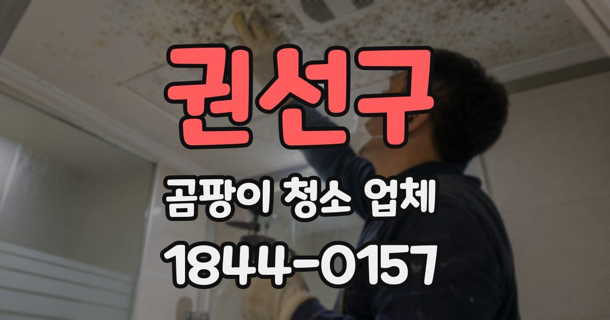 권선구 곰팡이 청소 업체