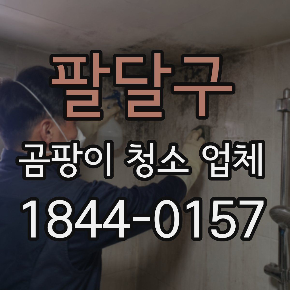 팔달구 곰팡이 청소 업체