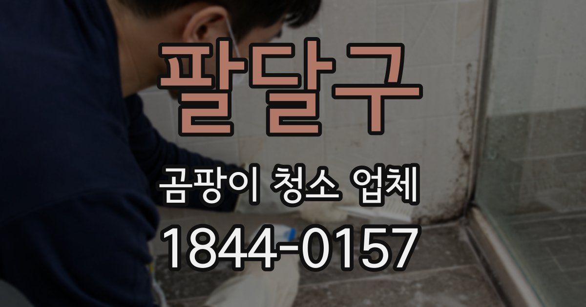 팔달구 곰팡이 청소 업체