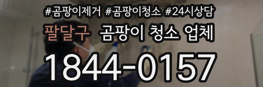 팔달구 곰팡이 청소 업체