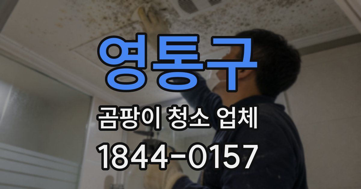 영통구 곰팡이 청소 업체
