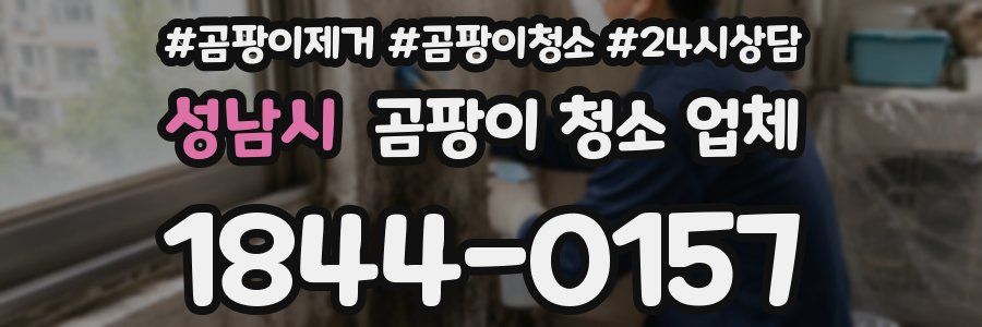 성남시 곰팡이 청소 업체