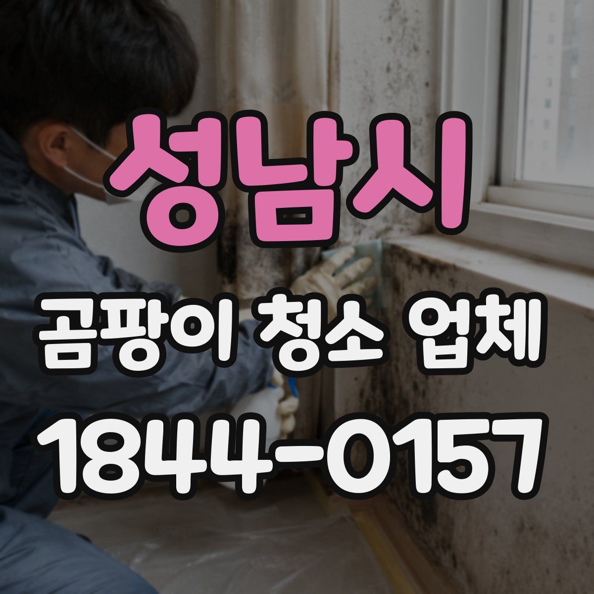 성남시 곰팡이 청소 업체