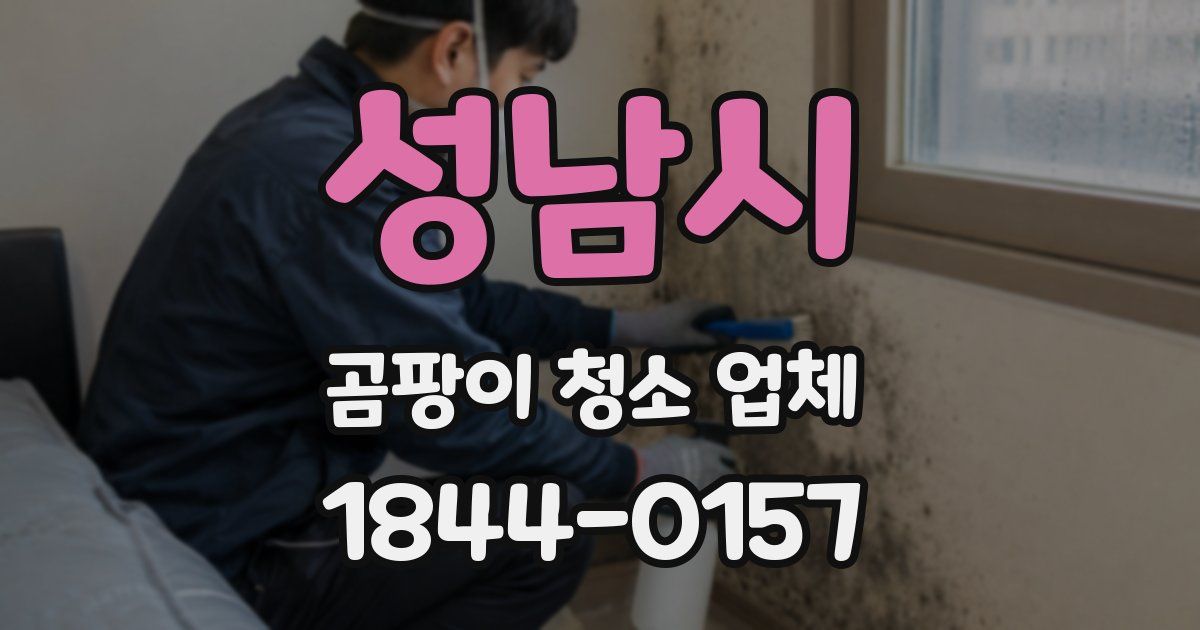 성남시 곰팡이 청소 업체