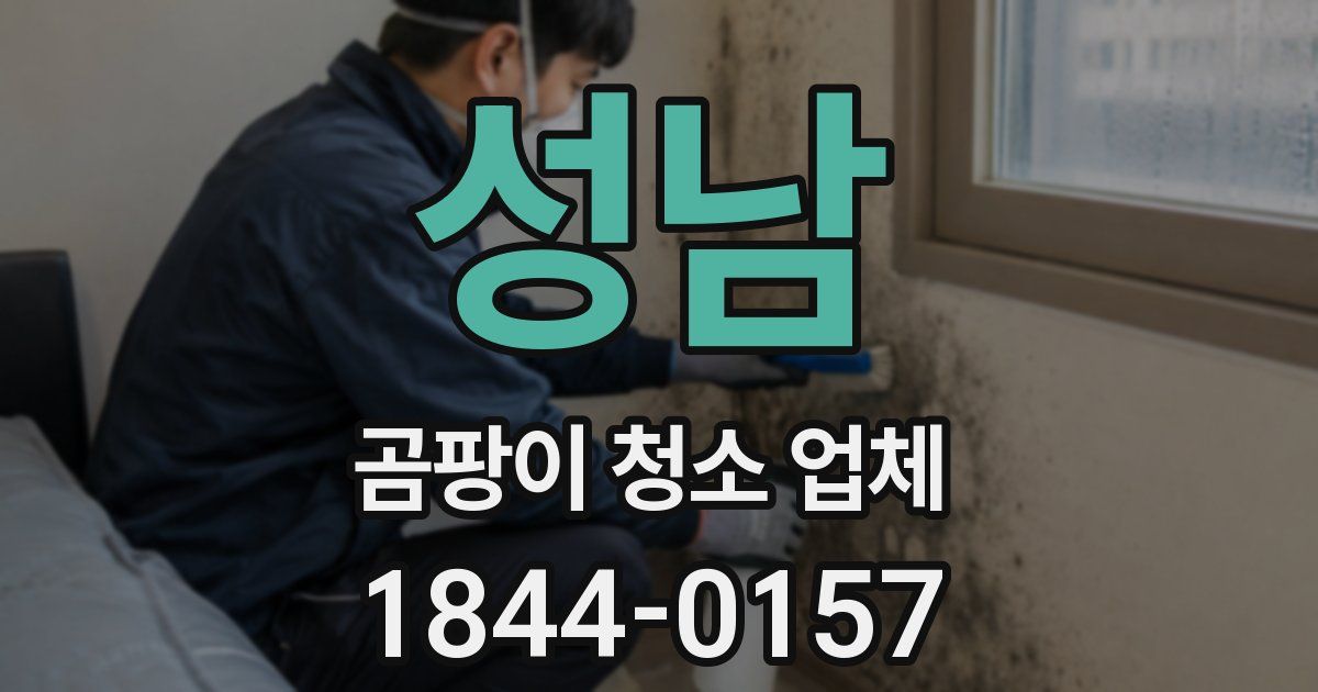 성남 곰팡이 청소 업체