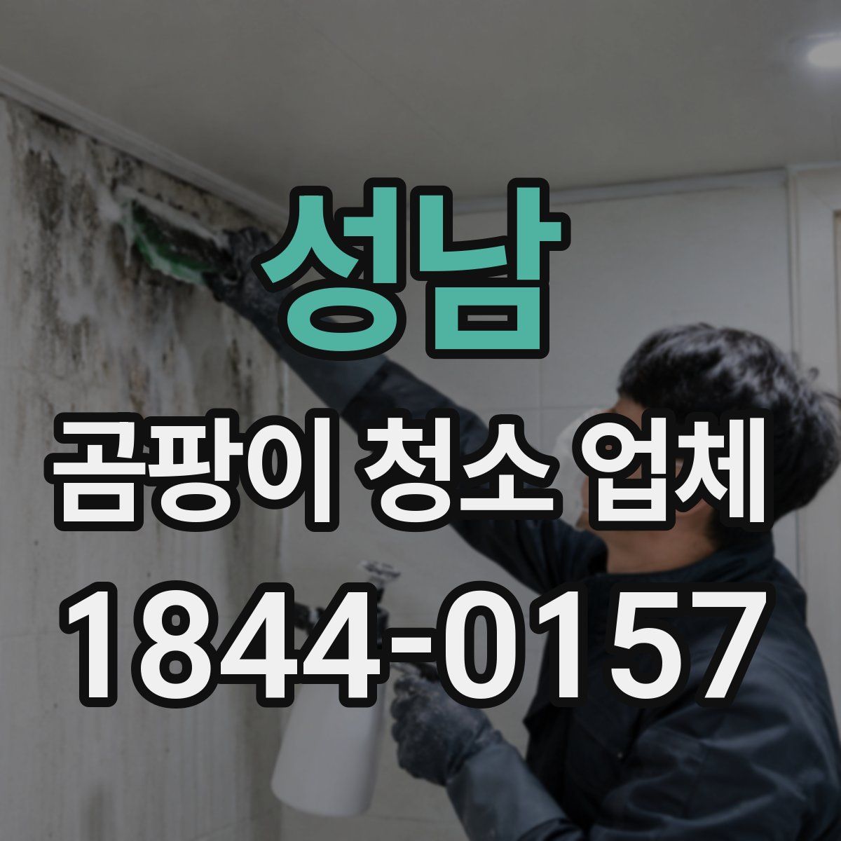 성남 곰팡이 청소 업체