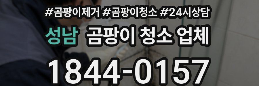 성남 곰팡이 청소 업체