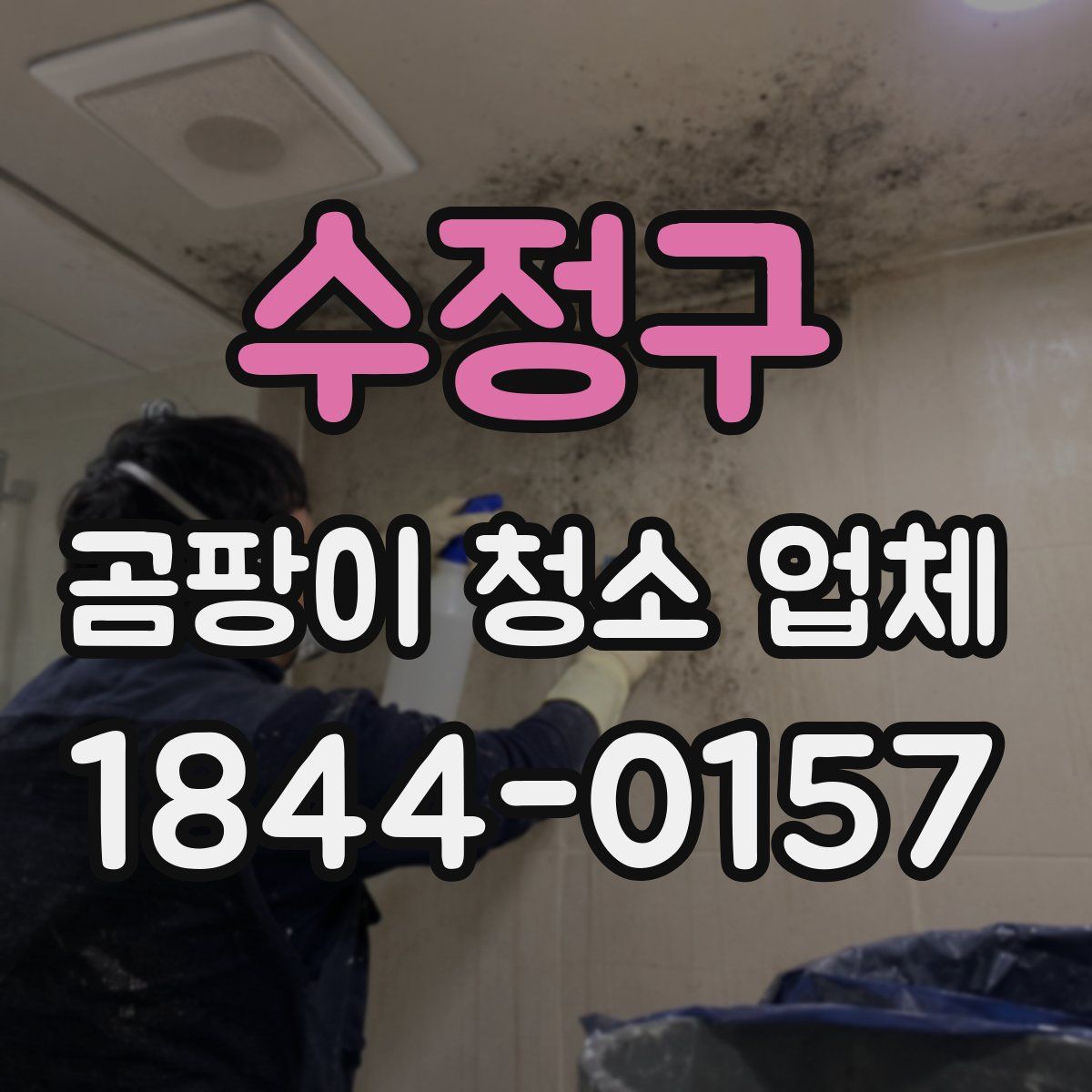수정구 곰팡이 청소 업체