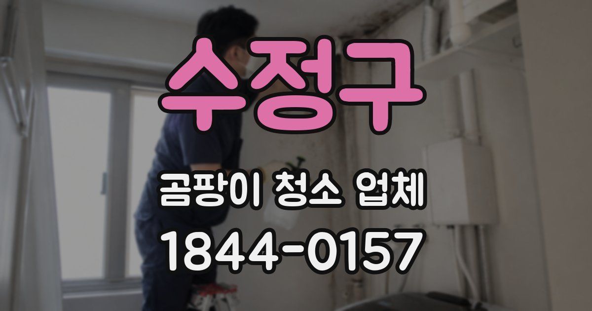 수정구 곰팡이 청소 업체
